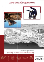 Pinzas hidrulicas frontales para troncos - 2 garras - serie L - palas cargadoras