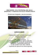 Descripcin de las principales lenas de negocio de PROEMISA