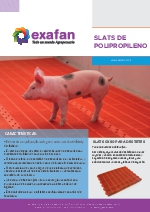 Slat de polipropileno - 2020