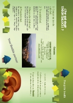 Cultivamos Reishi de forma totalmente natural