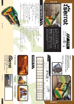 Trituradora forestal FX-5