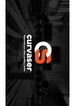 Presentacion curvaser