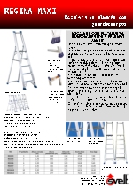 Escalera de almacn con guardacuerpos, Regina Maxi