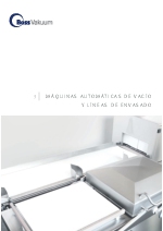 Envasadora al vaco automticas y lnea de envasado Boss Vakuum