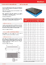 Platos electromagnticos
