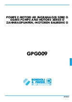 Bombas y motores de engranajes de fundicin
