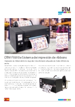 Sistema de impresin de ribbon DTM FX810e