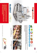 Clasificadora de tomates pelados - Rayvolution (En)