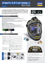 Mscara de soldador - Gysmatic Flip-Flap Goggle 3