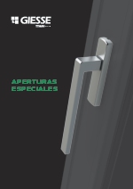 Aperturas especiales