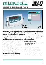 Datasheet SMART DIGITAL