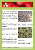 Mulching. Corteza, viru-mulch, fusta-mulch