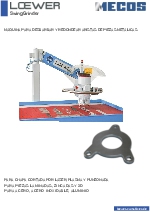 Desbarbadora Manual - LOEWER SwingGrinder