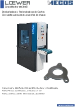 Desbarbadora para piezas pequeas- LOEWER CrossMaster DD300S