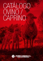 J Camara - catlogo 2024 (ES)