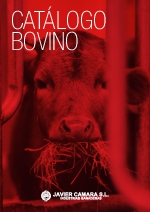 J Camara - Bovino - 2024