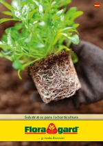 Catlogo profesional 2025