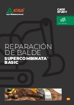 Elsa Reparacin de Balde