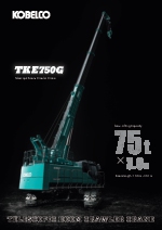 Gras de pluma sobre oruga