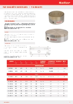 Platos magnticos circulares de imn permanente