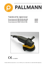 PALLMANN GECKO FLEX 2.0 M�quina lijadora de bordes