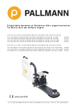 PALLMANN GECKO STAR 2.0 M�quina lijadora de bordes