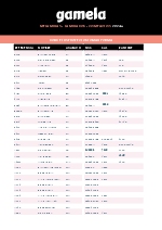 Folleto Gamela equivalencias