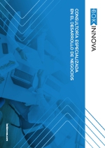 auditor�a especializada en el desarrollo de negocios