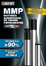 Motores sumergidos de imanes permanentes