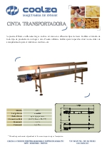 Cintas transportadoras, CT-1