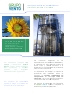 Destilacin de Biodiesel - Purificacin de Fame