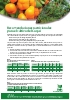 Recomendaciones nutricionales para el cultivo del Caqui (Regadío)
