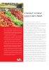 Procesamiento de alimentos rpido y seguro