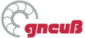 Gneuss Kunststofftechnik, GmbH Logo