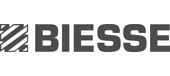 Logo de Biesse Ibrica W.M., S.L.