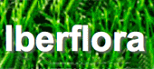 Logotipo de Iberflora