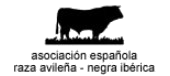 Logo de Real Asociacin Espaola de Criadores de Ganado Vacuno Selecto de Raza Avilea-Negra Ibrica