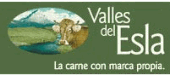 Logotipo de Valles del Esla, S.A.