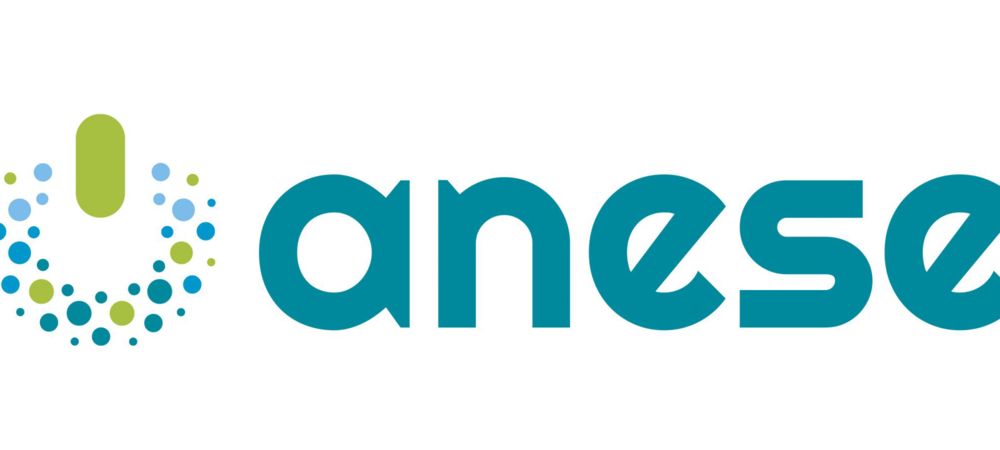 Asociación Nacional de Empresas de Servicios Energéticos (ANESE) Logo