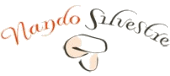 Logotip de Nando Silvestre, S.L.