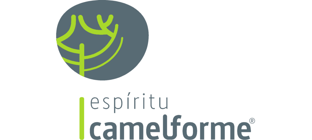 Logo de Camelforme, S.L.