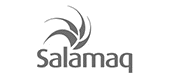 Logotipo de Diputación de Salamanca - Salamaq