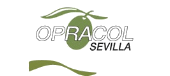 Logo de Organizacin de Productores de Aceite de Oliva y Aceituna de Mesa