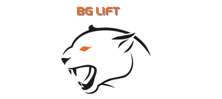 Logo de Bg Lift Srl