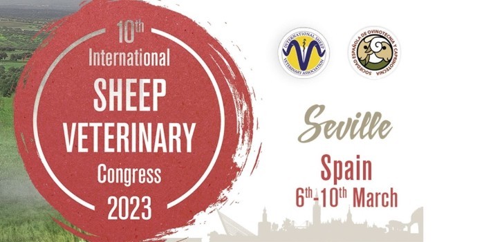 Sevilla calienta motores para convertirse en marzo en la capital mundial del ovino