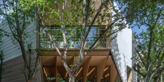 Los elementos estructurales inherentes a la madera definen el proyecto de la Biblioteca García Márquez