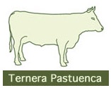 Foto de Carne de ternera