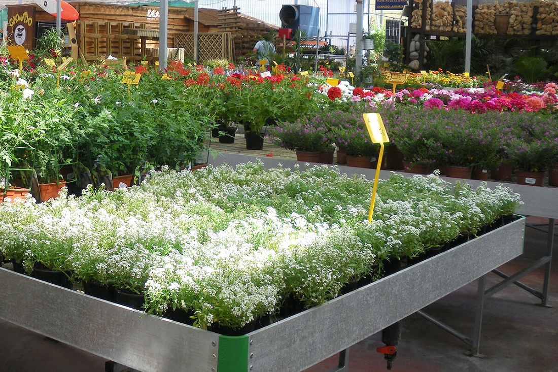 Foto deMesas de cultivo para invernaderos