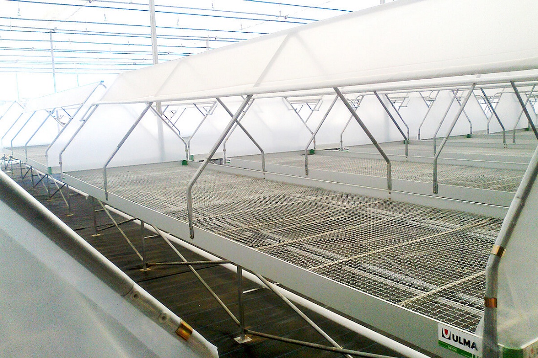 Foto deMesas de cultivo para invernaderos