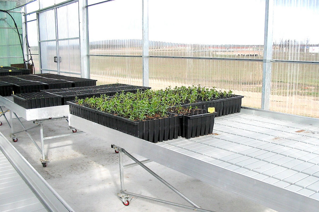 Foto deMesas de cultivo para invernaderos